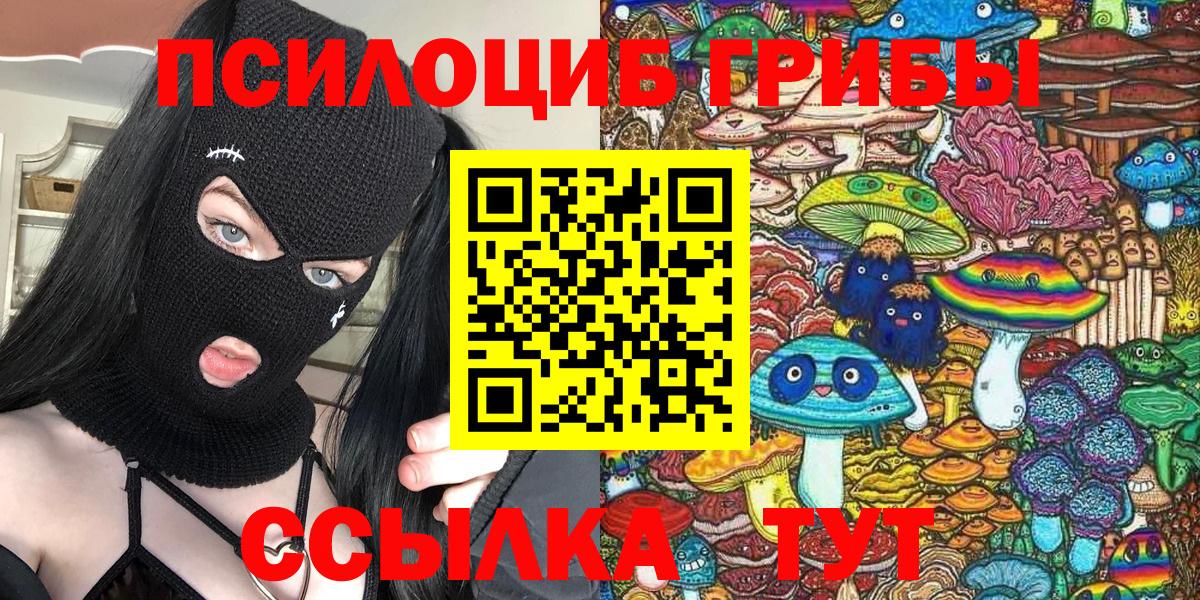 Богородицк  Псилоцибиновые грибы Magic Shrooms  Вход с VPN 